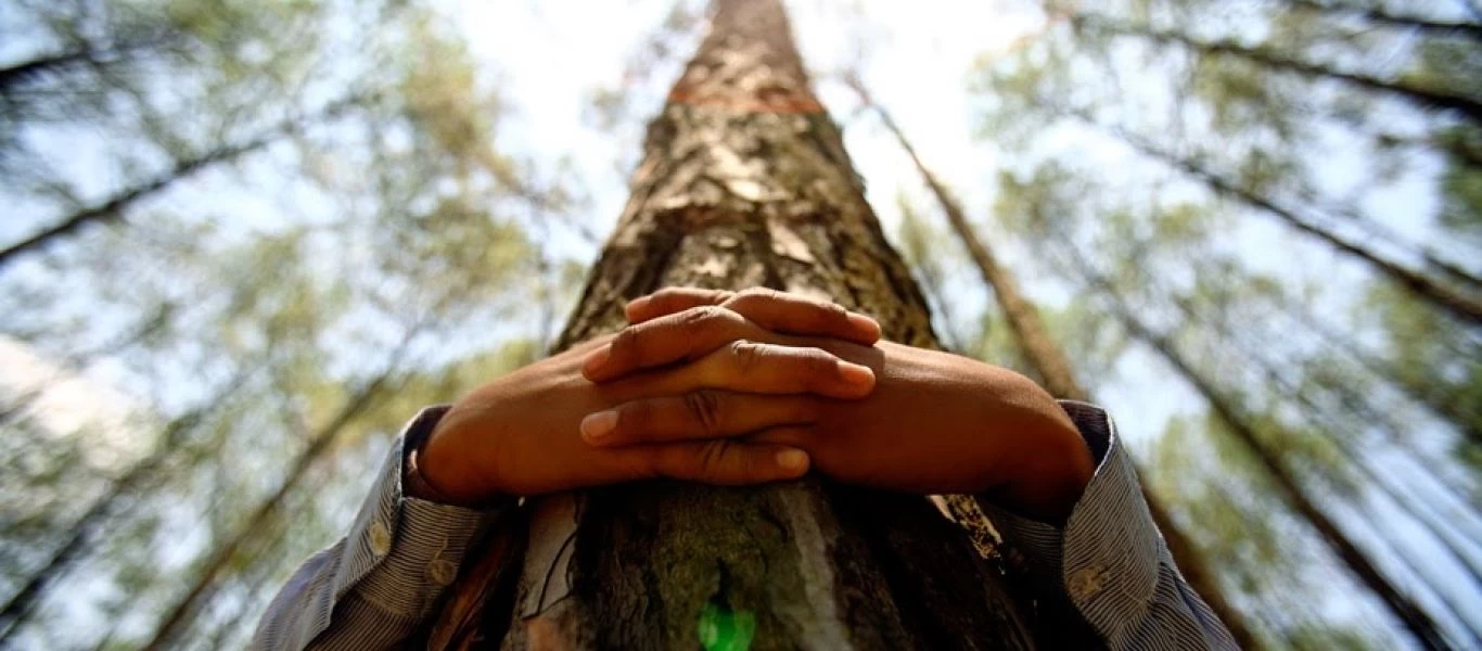 Το αγκάλιασμα των δέντρων βοηθά στην καλύτερη υγεία του ανθρώπου σύμφωνα με έρευνα